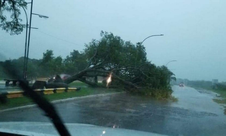 Temporal en Resistencia: techos volados, postes caídos, y cortes de luz